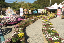 유구읍 추계보건진료소 국화 전시회 및 건강증진사업발표회