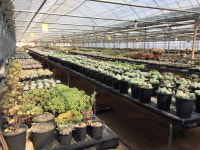 지역민과 상생이 핵심 키워드, 마을 특화산업 경쟁력