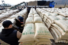 공공비축미곡 수매 시작