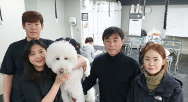 펫산업이 뜬다 - 탑애견미용학원 조재구 대표