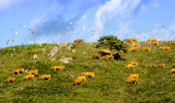 서산시 더 새로운 시민의 서산 관광사진 전국공모전 시상식