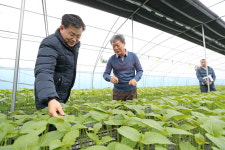 김경규 농촌진흥청장, 충남 금산군 농업인 만나 현장 소통