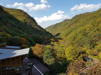 금산산림문화타운, 산림복지서비스 이용 확대