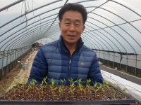 성공 스토리 - 청주 생명태양고추농장 권혁중 대표