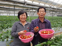 성공 스토리 -  청주 임규만 두모농장 대표