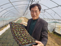 성공 스토리 - 청주 오송 홍이선 양촌농장 대표