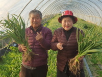 성공 스토리 - 순호농장 신창호 대표