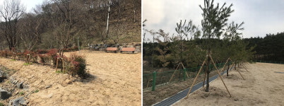 금산군 맞춤형 주민녹지환경 조성사업 완료