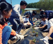 괴산 송면초 텃밭 가꾸기로 우리 농산물 사랑 실천해요