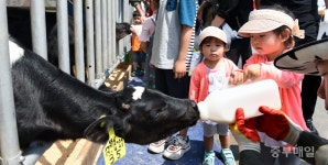 도심 속 목장 나들이