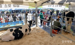 도심 속 목장 나들이