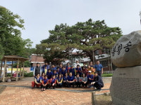 봉명2송정동 봉황송401주년 기념식 대비 대청소