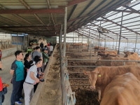 공주알밤한우 벤치마킹 대상 주목