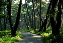 아산 120km 둘레길 완성, 헬스온 등 걷기 프로그램 전개