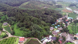 [지역이슈] 무분별 태양광시설 불허 정당… 영동군 승소