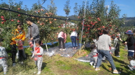 사과와 함께하는 가을여행 보은으로 오세요