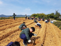 증평군 한옥마을 장이익어가는마을
