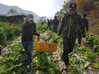 충북도, 생산적 일손봉사에 앞장