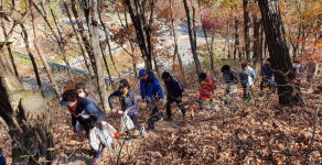 가을 숲길에 물들다  속리산둘레길 걷기대회 개최