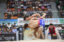 영동서 모래판의 숨은 고수 가린다