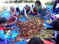 금산 사회복지법인 인삼골 건강마을