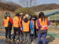 진천 여성의용소방대, 농촌 일손돕기 나서