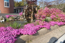 청양교육지원청, 물레방아 쉼터 조성