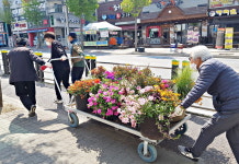 충주 용산동행정복지센터, 상가·도로변에 꽃화분 설치