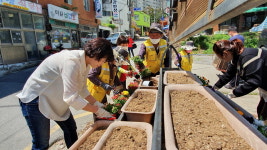 청주 사직2동, 환경 취약지 꽃묘 심기 구슬땀