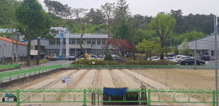 금산군 부리면사무소, 진입로 꽃밭 조성