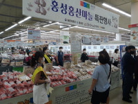 홍성군 홍산마늘, 국내 마늘시장에 도전장