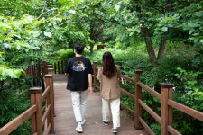 걷기 좋은 언택트 힐링로드 증평 좌구산