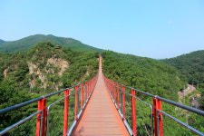 충주호 인근지역 간 출렁다리 쟁탈전 치열