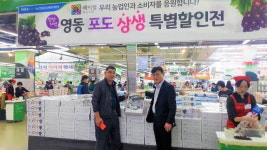 영동군, 제주시농협 하나로마트서 학산 머루포도 판매