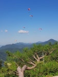 패러글라이딩 명소 단양 알프스 두산마을