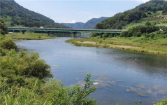 충주 달천 서식 도끼조개, 우리나라 고유 종 확인
