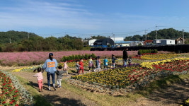 금산읍, 신대리 엑스포주차장 일원 꽃단지 조성