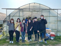 음성군, 대소면 삼호리 방울토마토 농가 일손 지원