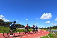 가을이라 더 좋은 무심천, 제대로 즐기기!