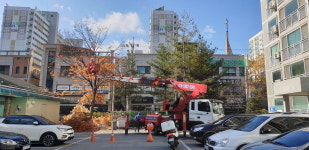 제천 장락주공3단지, 주민안전 위해 나무 전지 작업 실시