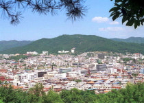 환경부, 청주 우암산 생태계 복원 지원
