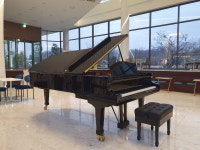 김진호 더블루체어 치과 대표원장 의료·문화 공존 힐링 공간 만들 것