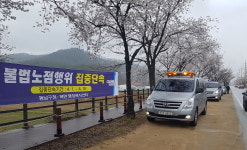 천안시 동남구, 북면 벚꽃길 노점상 특별단속