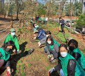 천안 불당동 유아숲체험원에 꽃캉스 오세요