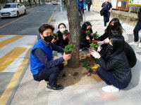 청주 분평동, 식목일 기념 게릴라 가드닝 실시
