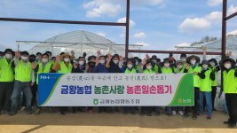 금왕농협·농협경제연구소, 합동 일손돕기 팔걷어
