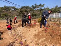 공주시 우성면, 꽃길 조성 환경 개선
