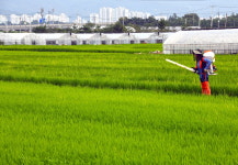 만성적 농촌 일손부족 어찌할 것인가