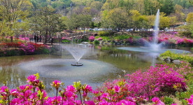 [추석특집] 비대면 추석 힐링되는 충북 여행지는?