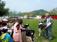 우리 학교 최고 - Ⅱ. 제천 화당초등학교